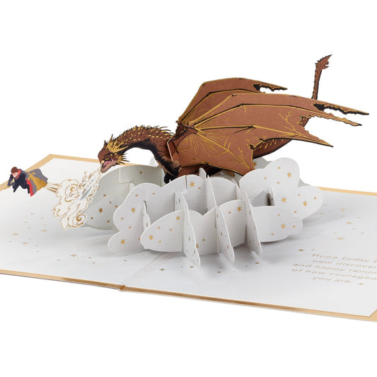 3D Pop-Up Harry Potter & Dragon Greeting Card
