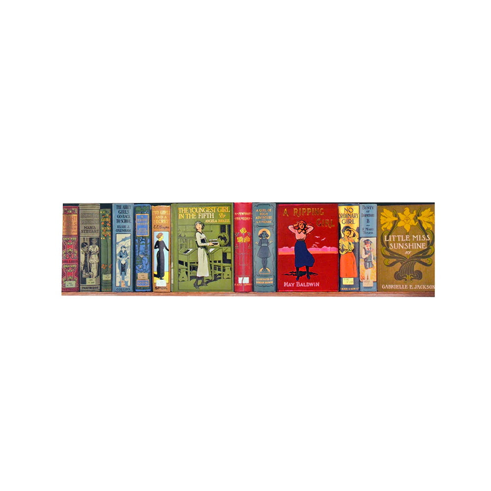 High Jinks! Bookshelves Bookmark from the Bodleian Libraries