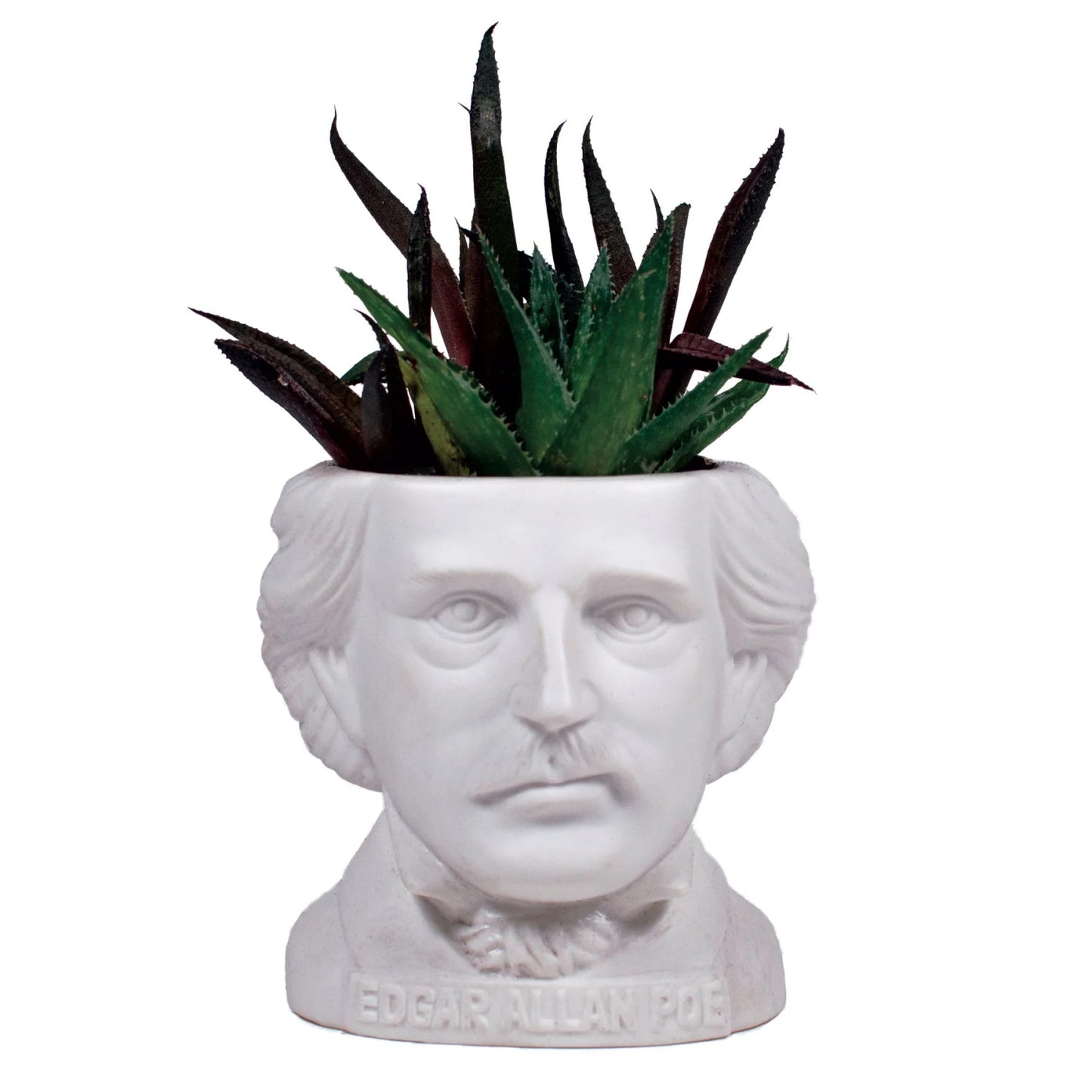 Edgar Allan Poe Small Ceramic Planter from The Unemployed Philosophers Guild