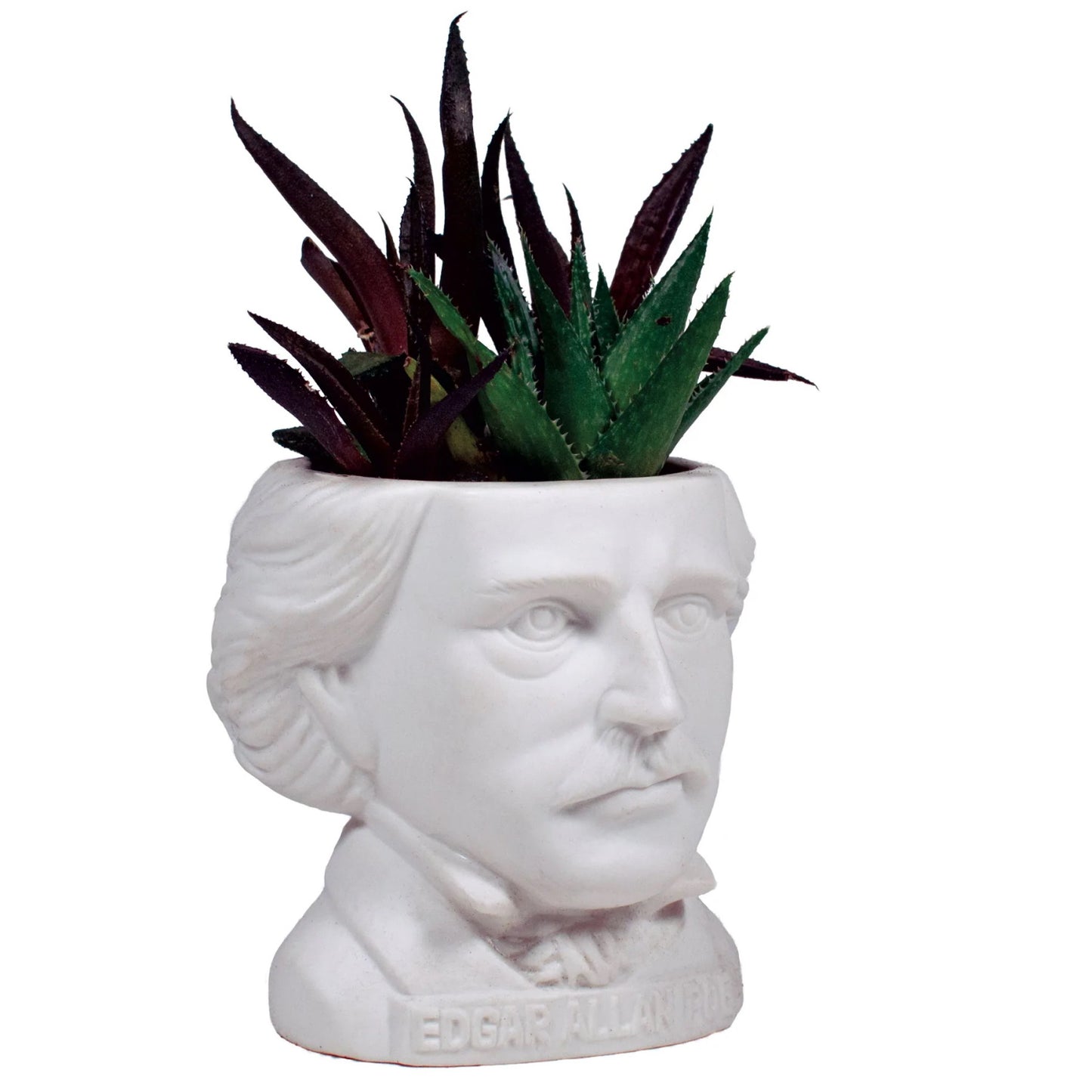 Edgar Allan Poe Small Ceramic Planter from The Unemployed Philosophers Guild