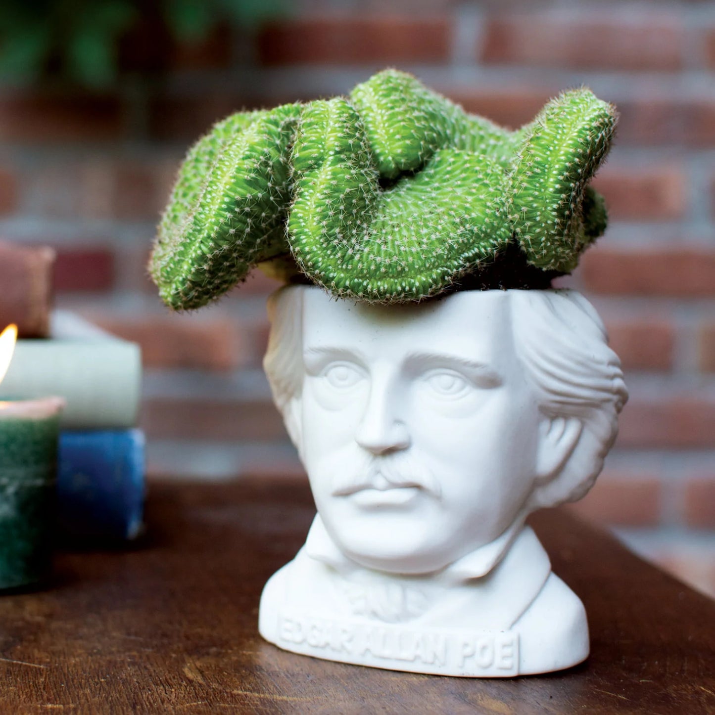 Edgar Allan Poe Small Ceramic Planter from The Unemployed Philosophers Guild