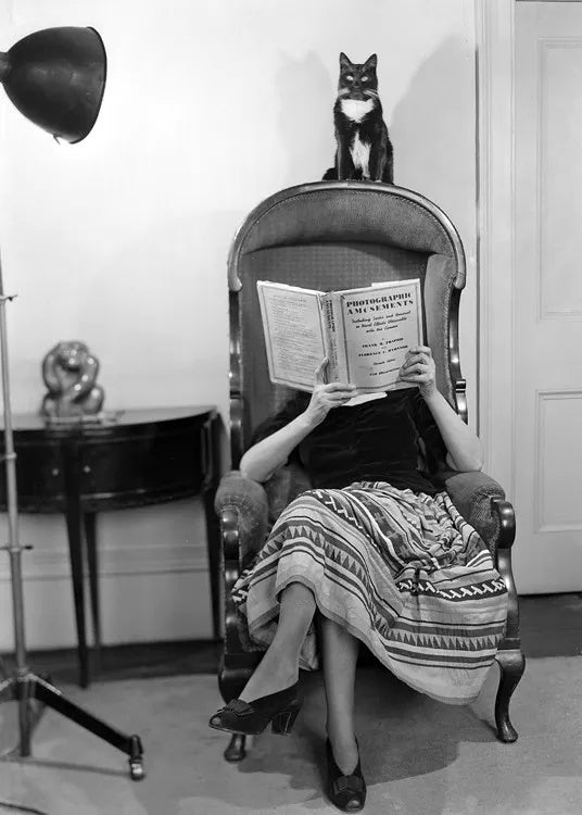 Woman Reading With Cat on Chair Blank Greeting Card
