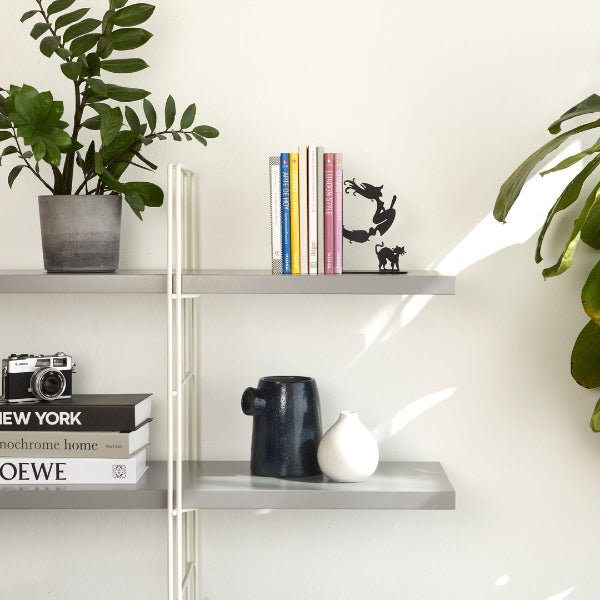 Shelving unit with books, a plant, and decorative items against a white wall.