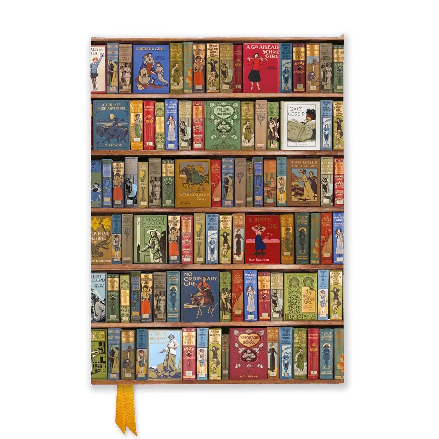 Bodleian Libraries High Jinks Bookshelves Foiled Quarto Journal