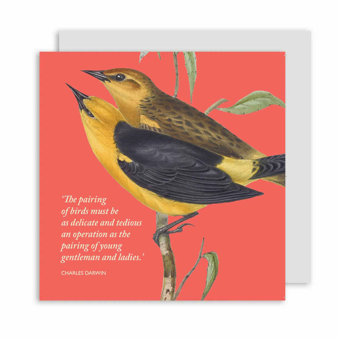 Darwin on Birds Greeting Card