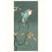 Haiku: Japanese Art and Poetry Boxed Notecards