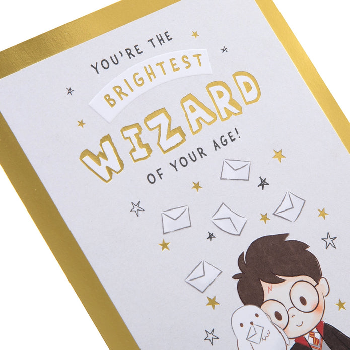 Harry Potter & Hedwig Birthday Card with Maze Activity