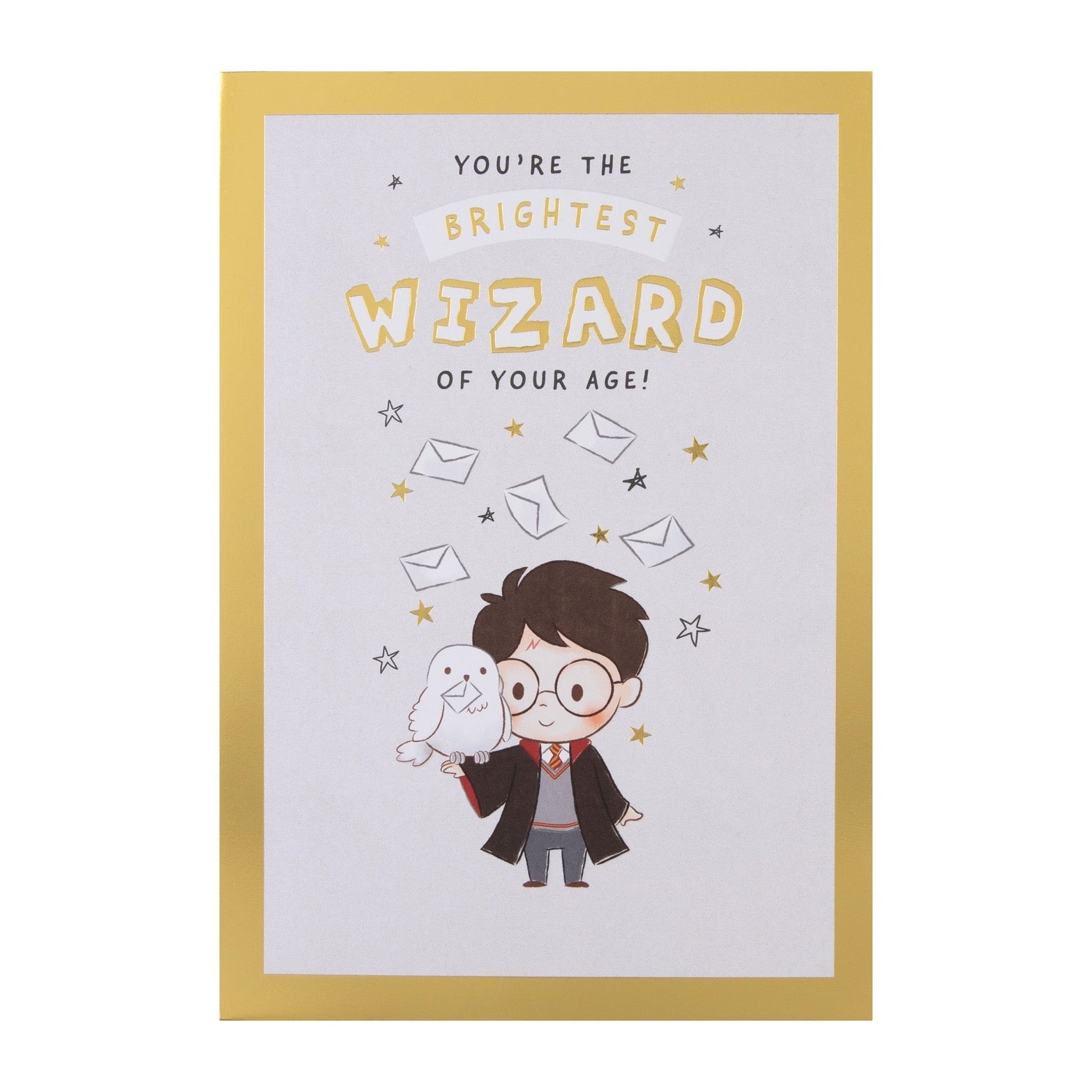 Harry Potter & Hedwig Birthday Card with Maze Activity