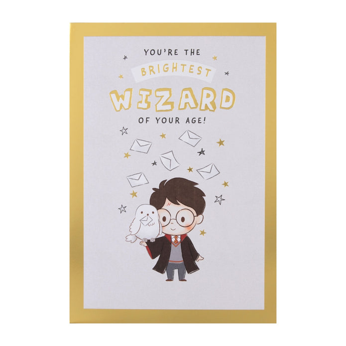 Harry Potter & Hedwig Birthday Card with Maze Activity