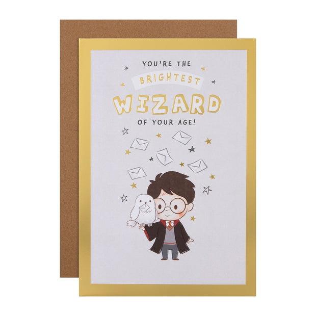 Harry Potter & Hedwig Birthday Card with Maze Activity