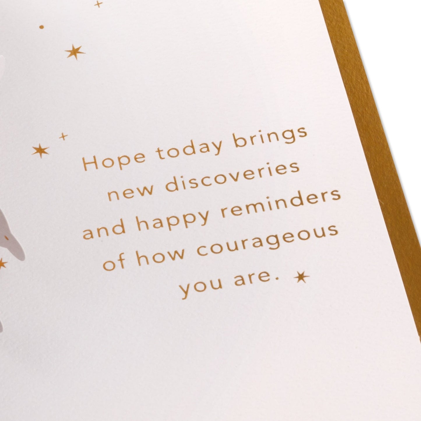 3D Pop-Up Harry Potter & Dragon Greeting Card