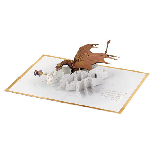 3D Pop-Up Harry Potter & Dragon Greeting Card