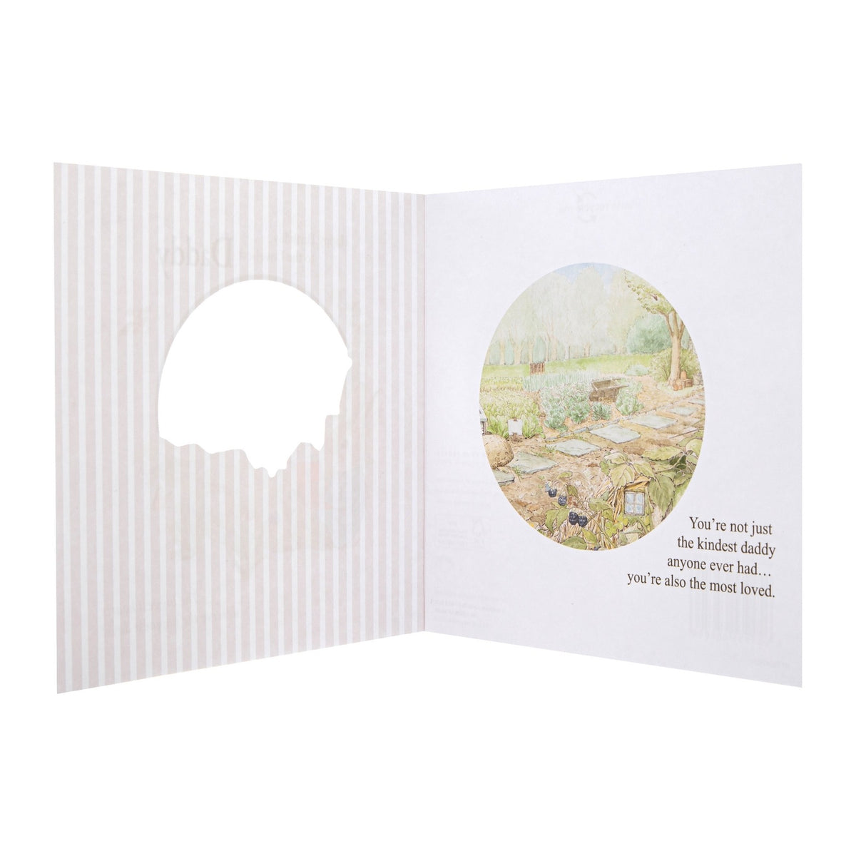 Birthday Card For Daddy - Peter Rabbit Design