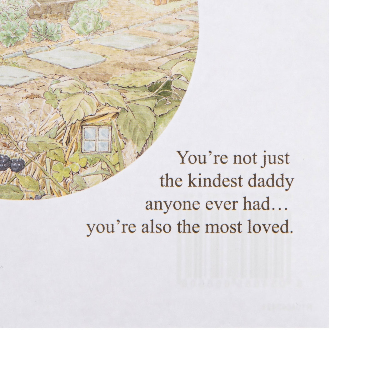 Birthday Card For Daddy - Peter Rabbit Design