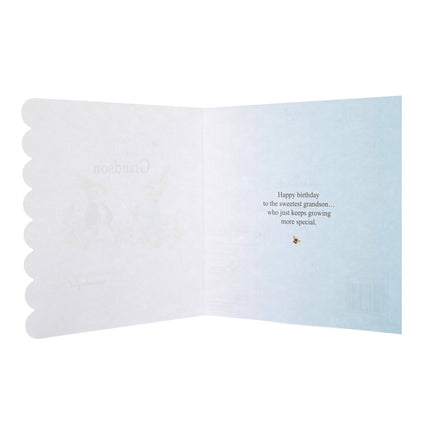 Birthday Card For Grandson - Peter Rabbit Design