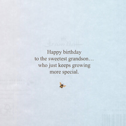 Birthday Card For Grandson - Peter Rabbit Design