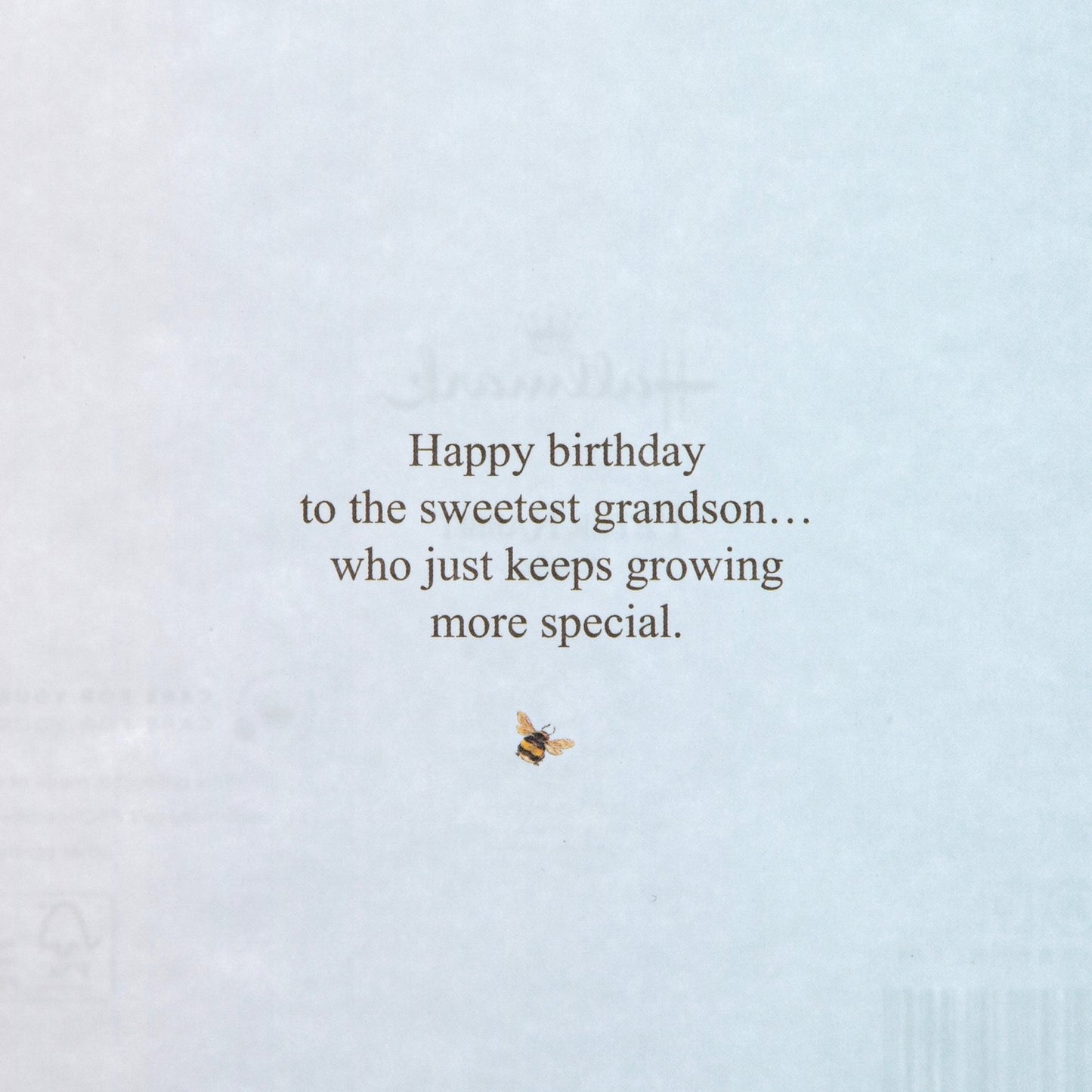 Birthday Card For Grandson - Peter Rabbit Design