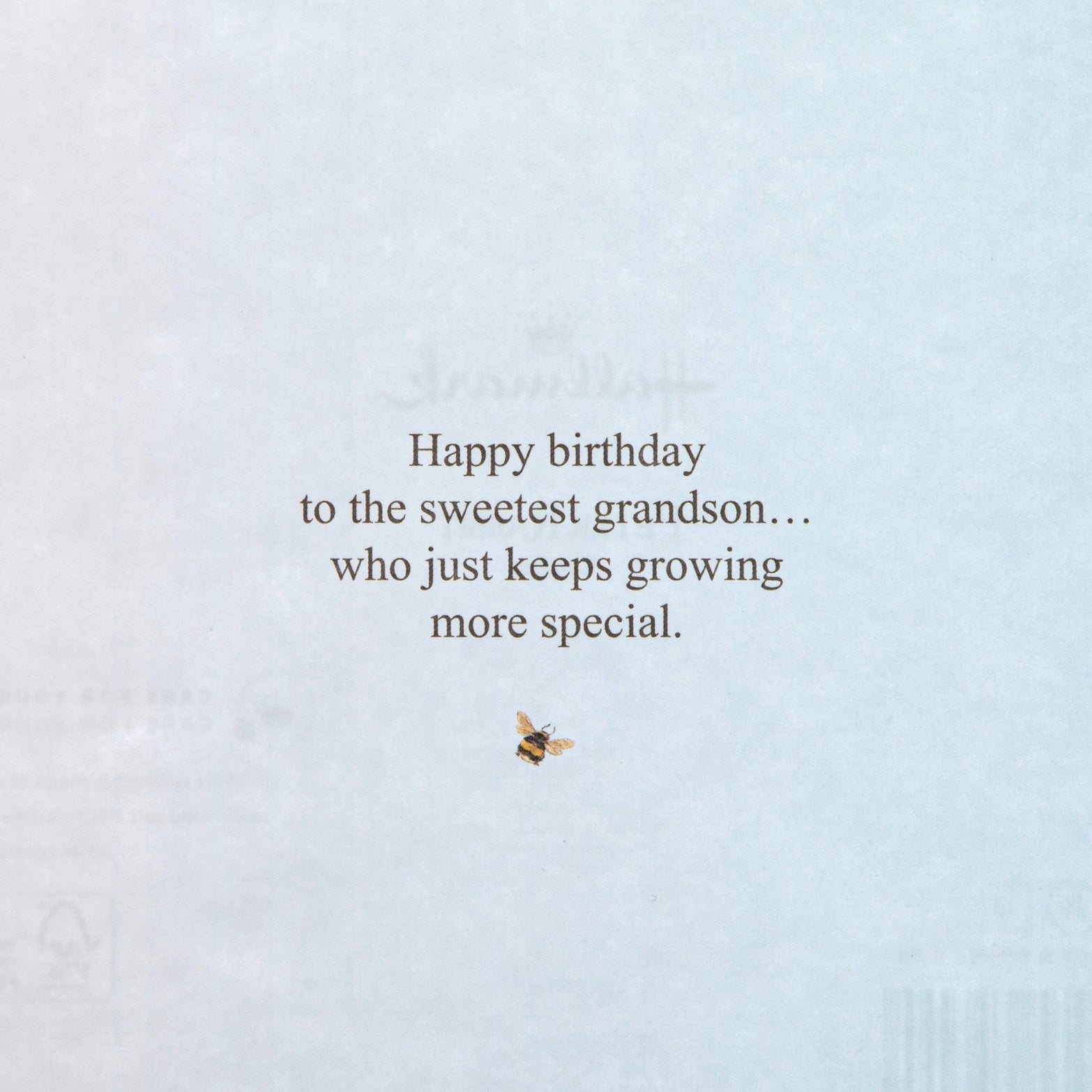 Birthday Card For Grandson - Peter Rabbit Design