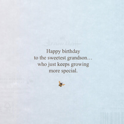 Birthday Card For Grandson - Peter Rabbit Design