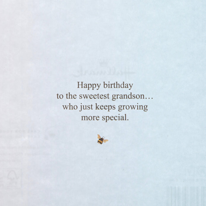 Birthday Card For Grandson - Peter Rabbit Design