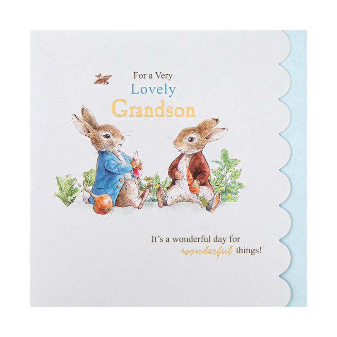 Birthday Card For Grandson - Peter Rabbit Design