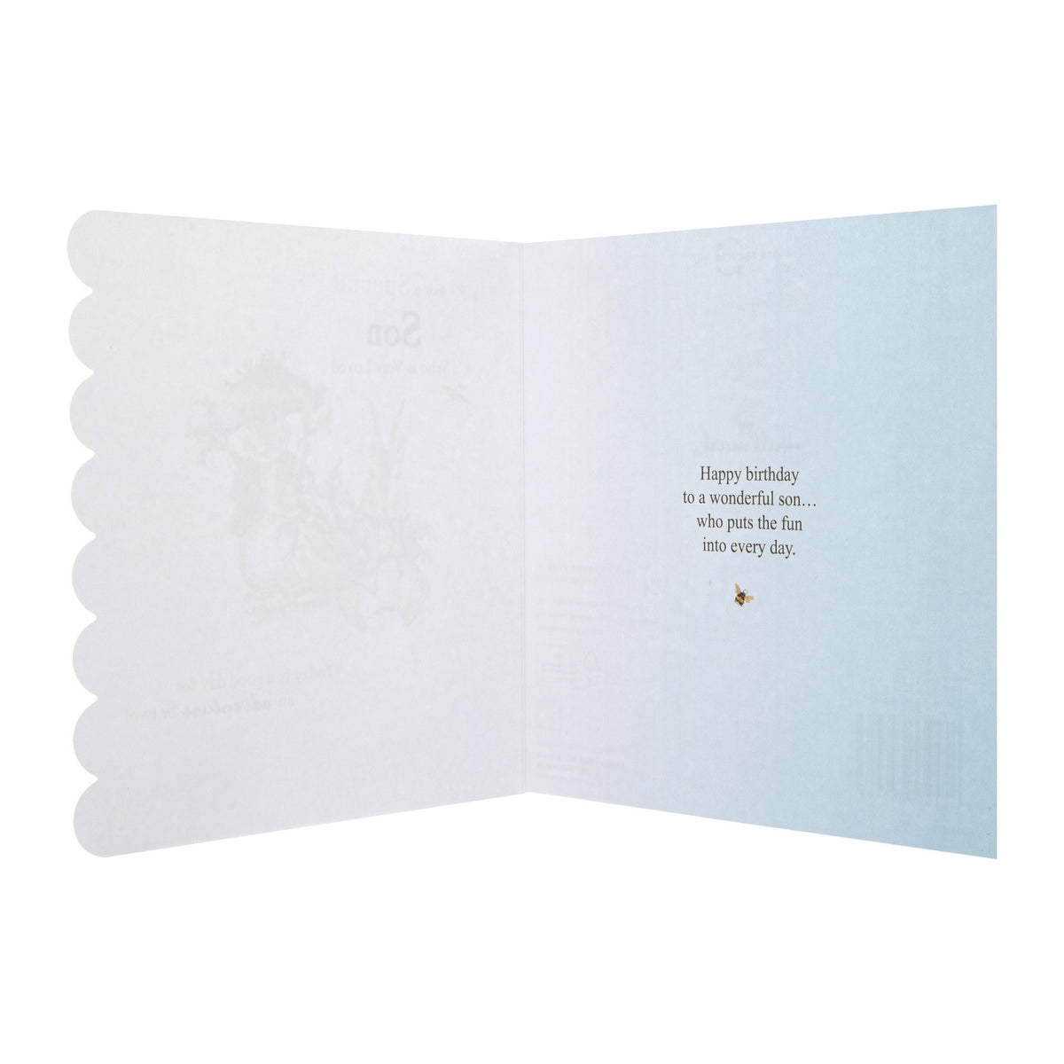 Birthday Card For Son - Beatrix Potter Peter Rabbit™ Design