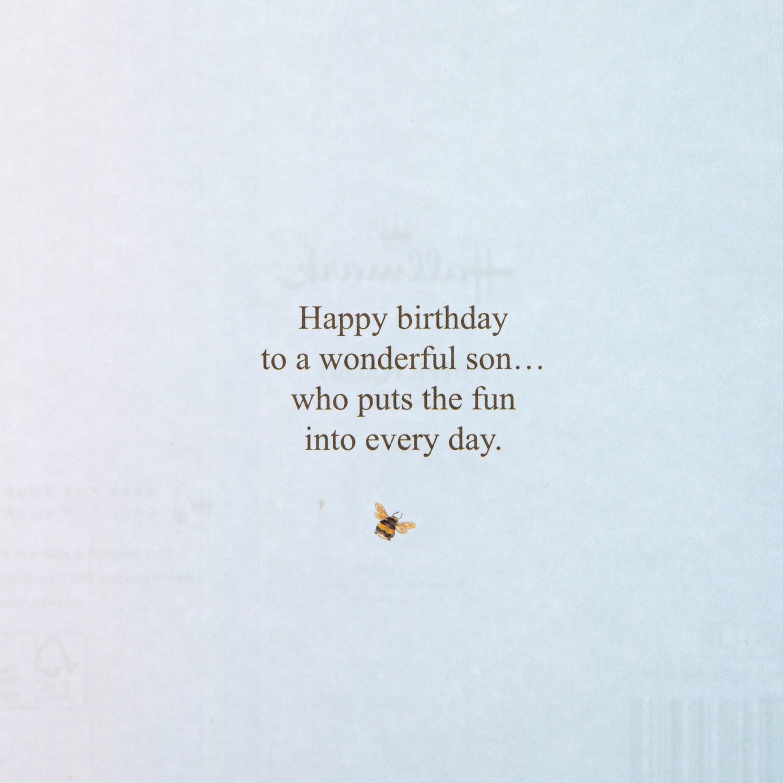 Birthday Card For Son - Beatrix Potter Peter Rabbit™ Design