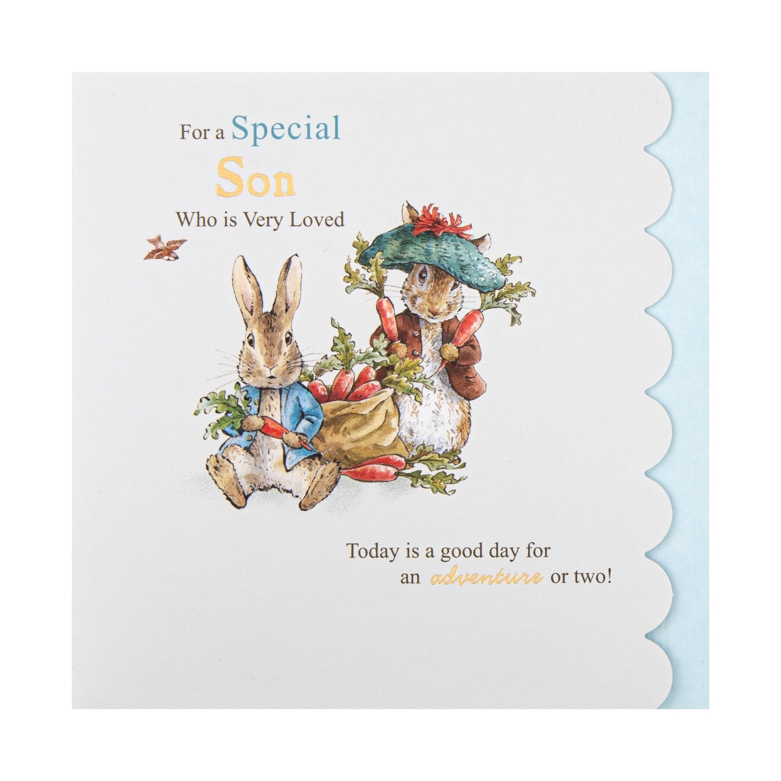 Birthday Card For Son - Beatrix Potter Peter Rabbit™ Design