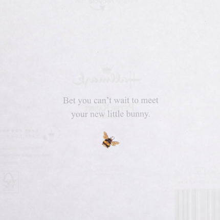 Congratulations Card For Mummy-To-Be - Peter Rabbit Design