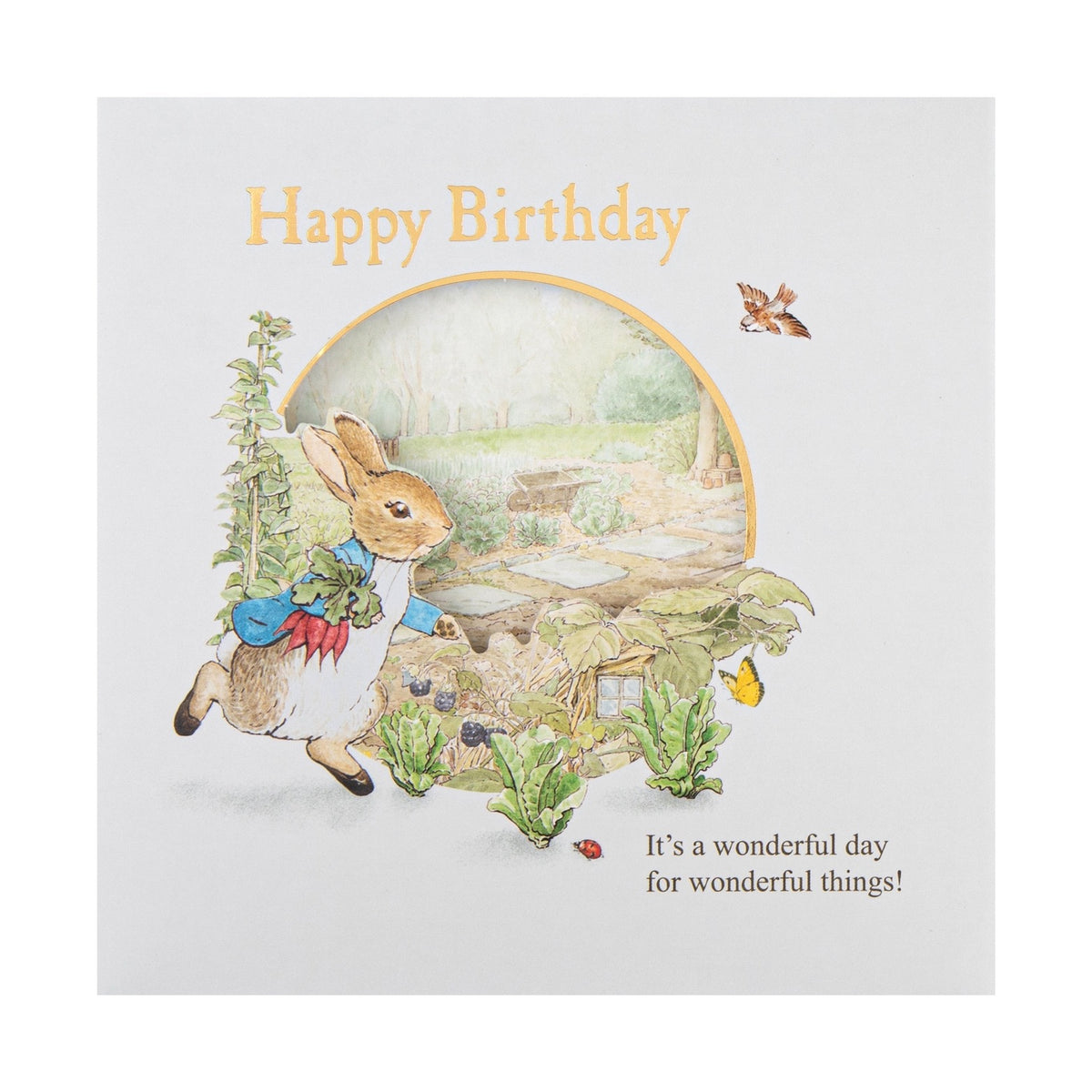 Birthday Card - Beatrix Potter Peter Rabbit™ Design