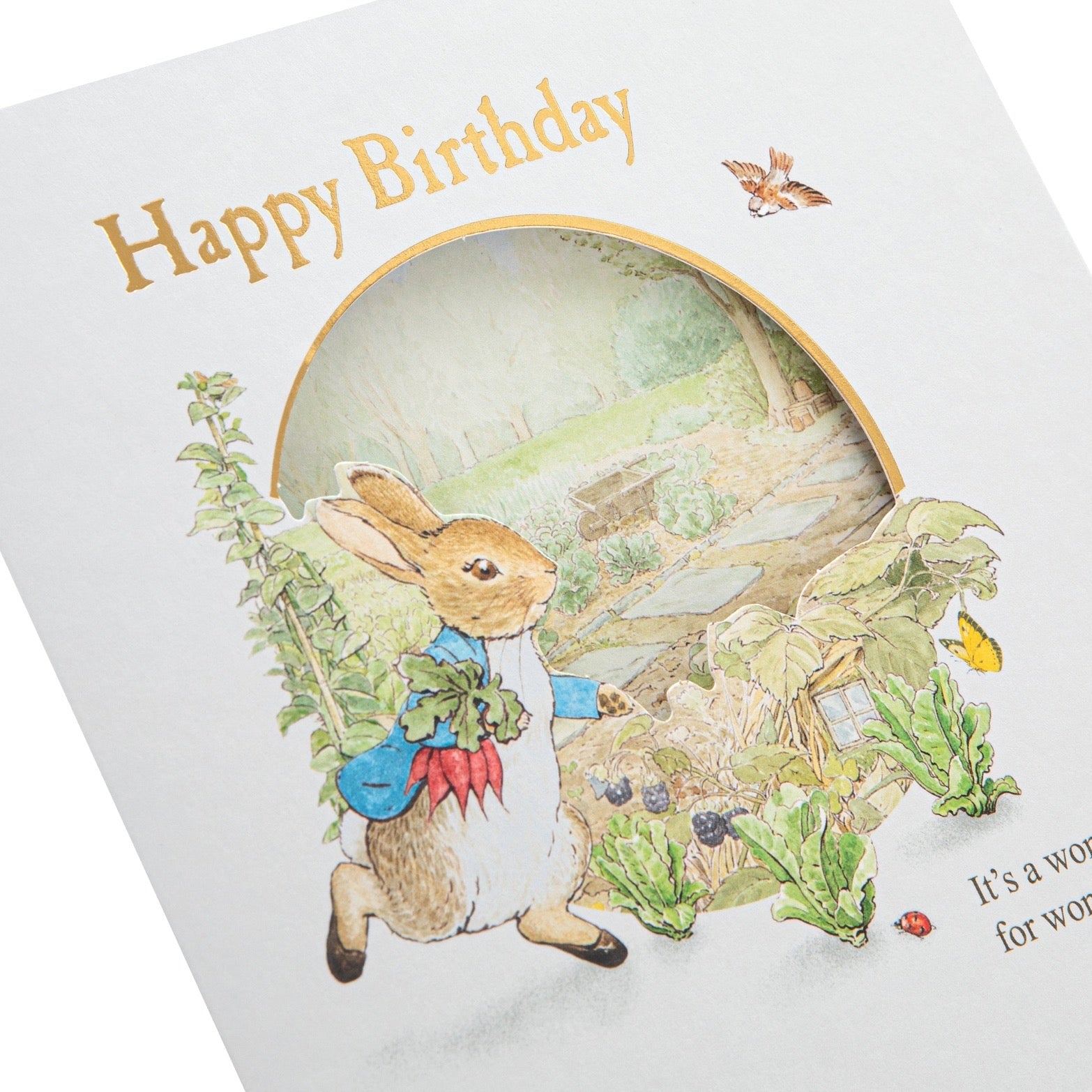 Birthday Card - Beatrix Potter Peter Rabbit™ Design