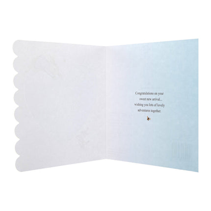 New Baby Boy Card - Beatrix Potter Peter Rabbit™ Design