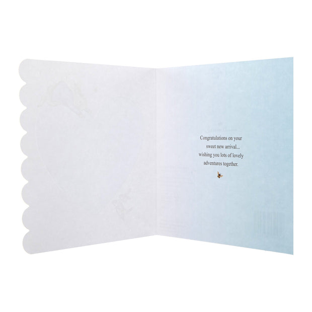 New Baby Boy Card - Beatrix Potter Peter Rabbit™ Design