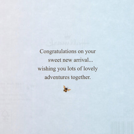 New Baby Boy Card - Beatrix Potter Peter Rabbit™ Design