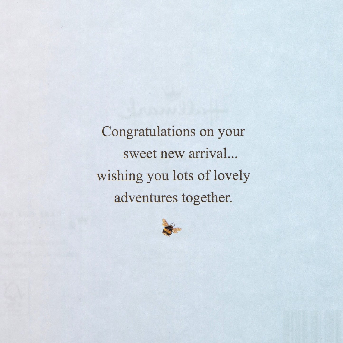 New Baby Boy Card - Beatrix Potter Peter Rabbit™ Design