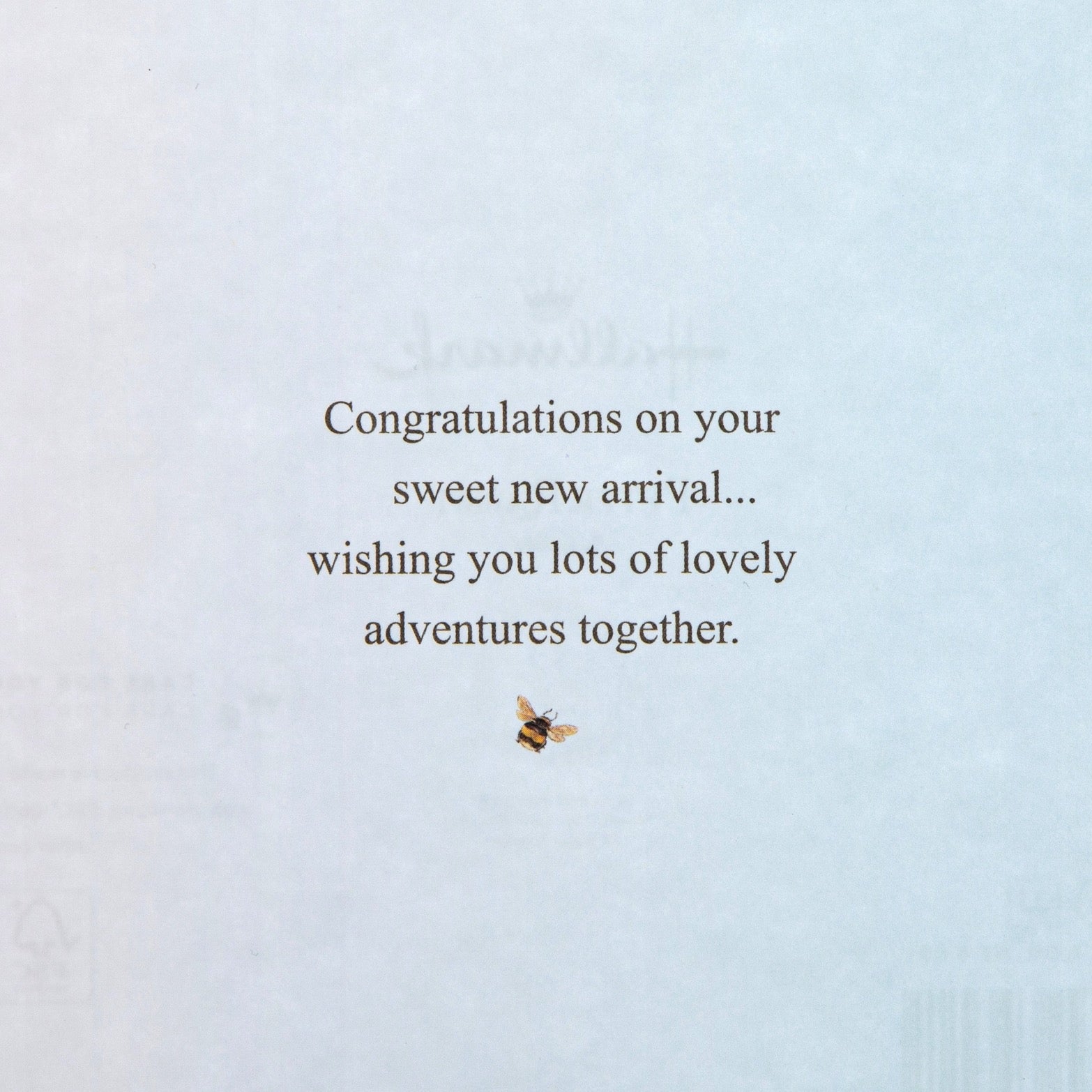 New Baby Boy Card - Beatrix Potter Peter Rabbit™ Design