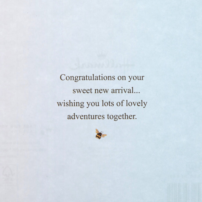 New Baby Boy Card - Beatrix Potter Peter Rabbit™ Design
