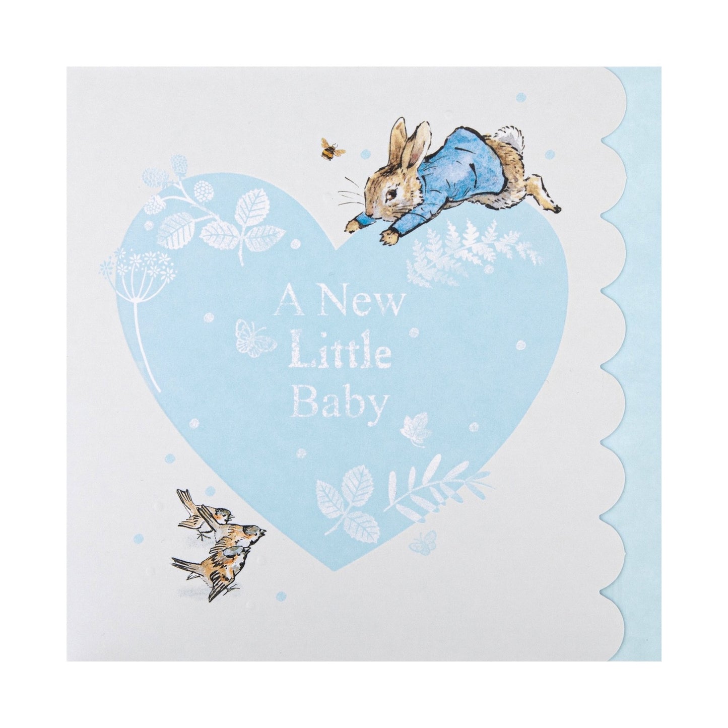 New Baby Boy Card - Beatrix Potter Peter Rabbit™ Design