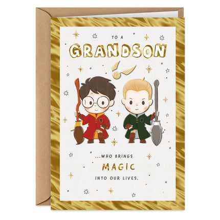Grandson Birthday Card - Harry Potter Collection