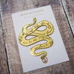 Lady Macbeth Serpent Brass Bookmark
