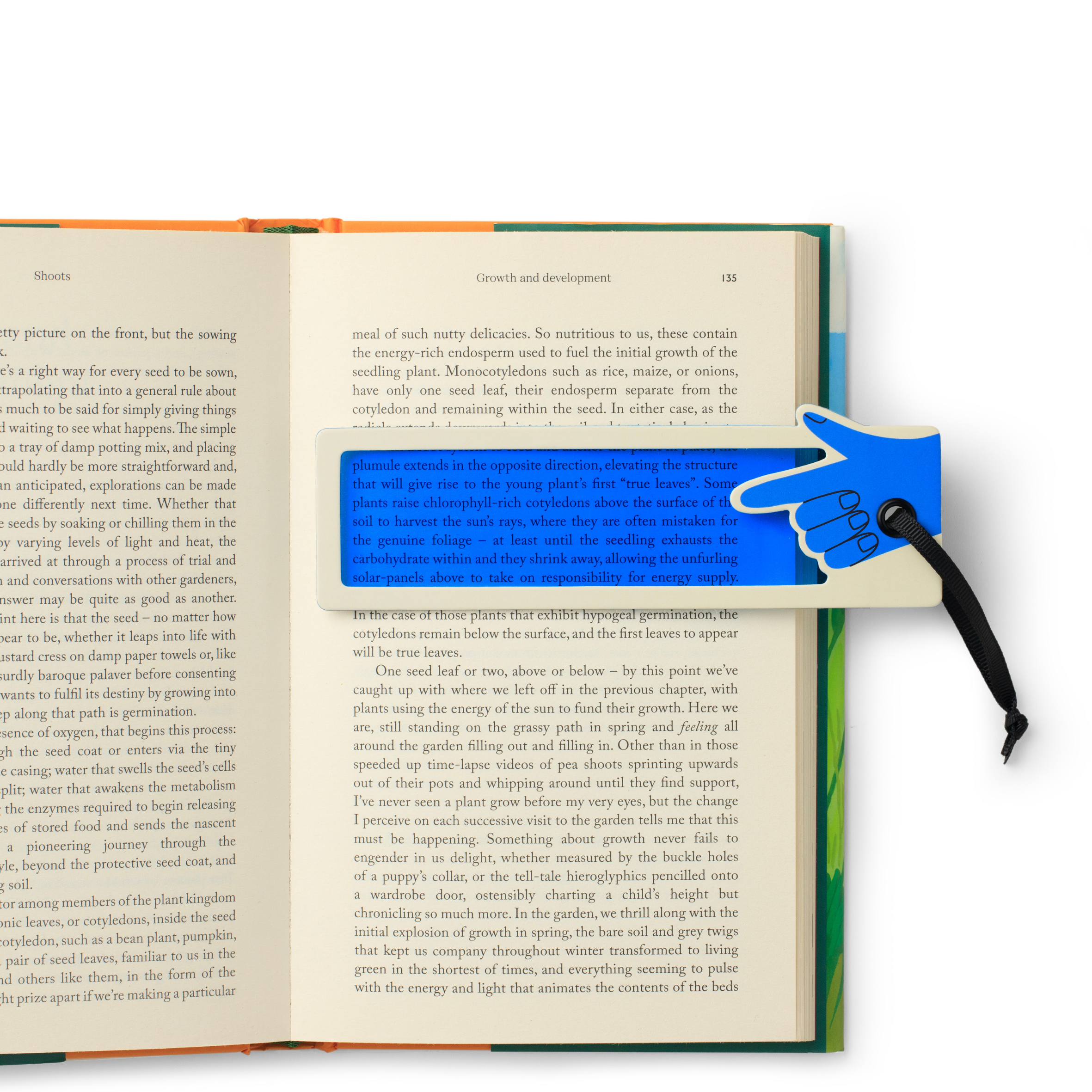 Reading Aid Bookmark - STOCK DUE SOON