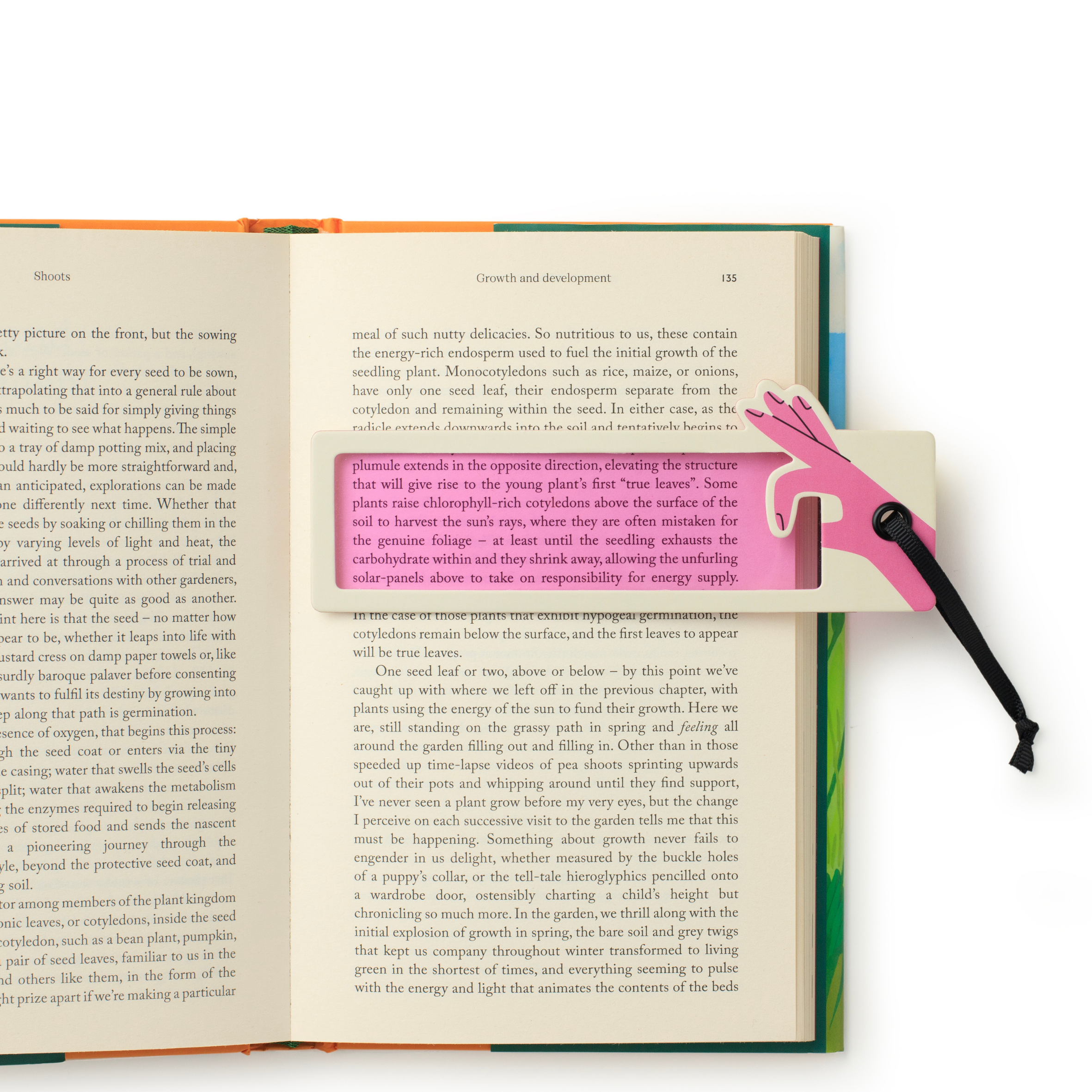 Reading Aid Bookmark - STOCK DUE SOON