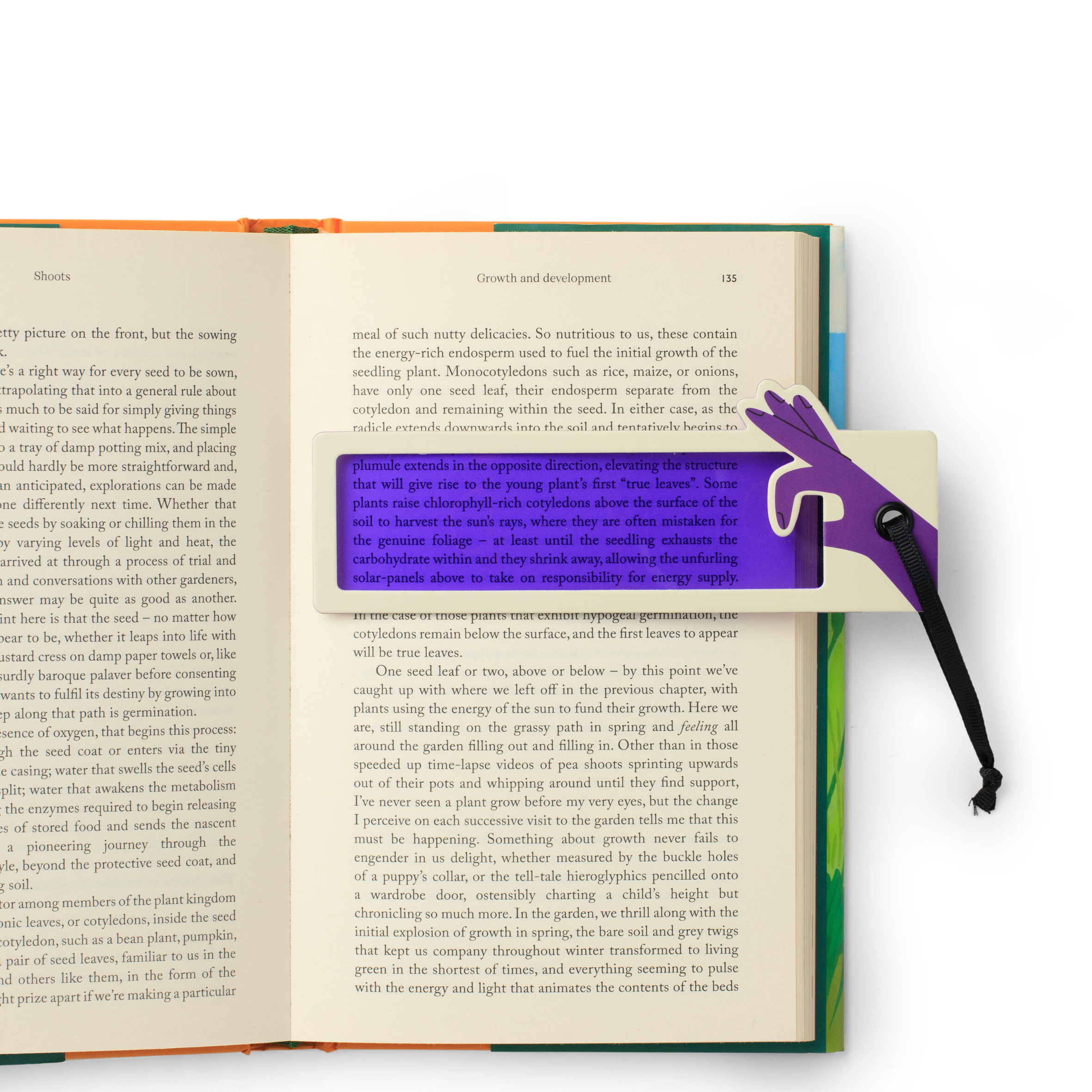 Reading Aid Bookmark - STOCK DUE SOON