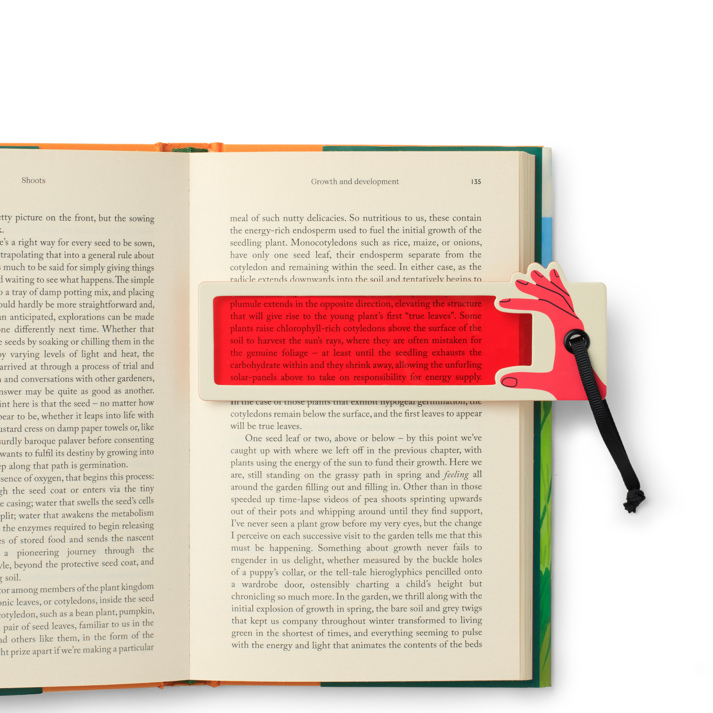 Reading Aid Bookmark - STOCK DUE SOON
