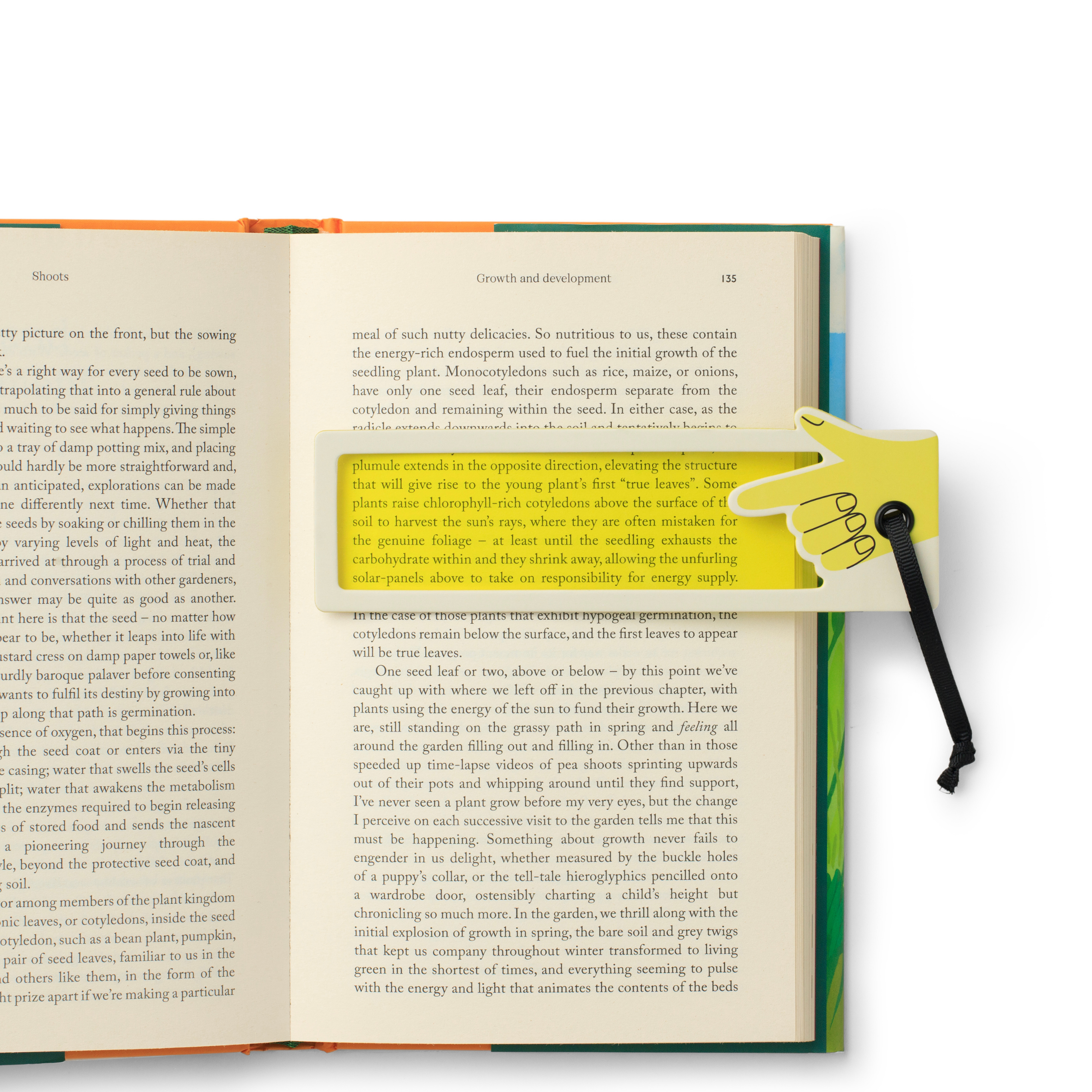 Reading Aid Bookmark - STOCK DUE SOON