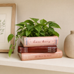 Stack of books with a plant on top on a shelf