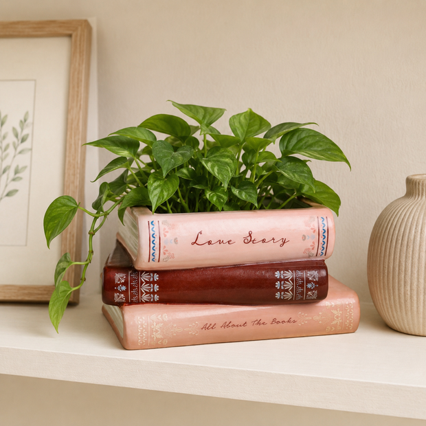 Stack of books with a plant on top on a shelf