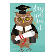 Yay You Did It Owl Graduation Card