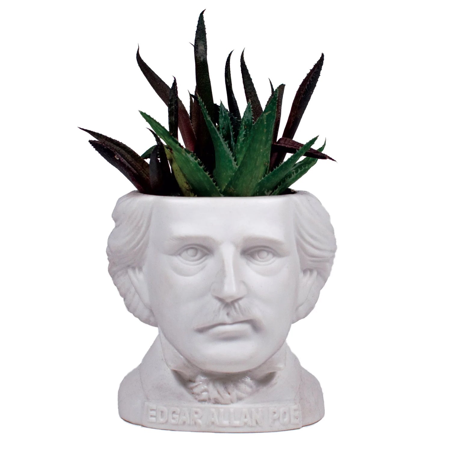 Edgar Allan Poe Small Ceramic Planter from The Unemployed Philosophers Guild