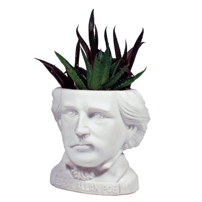 Edgar Allan Poe Small Ceramic Planter from The Unemployed Philosophers Guild